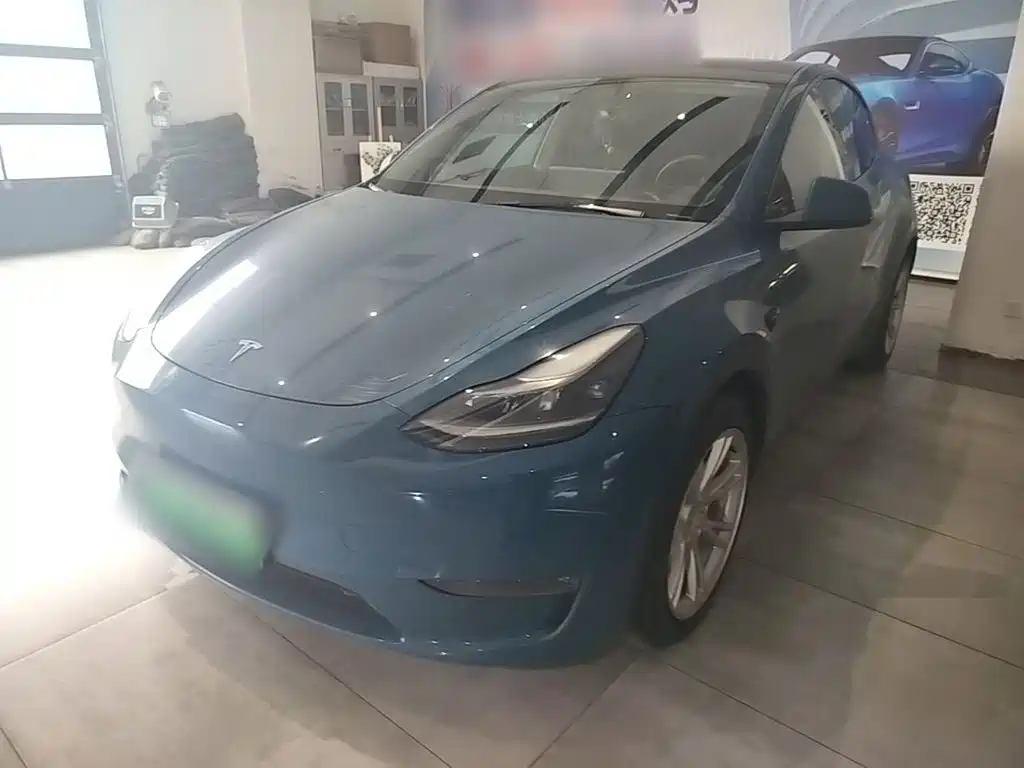 Tesla Model Y — миниатюра 2