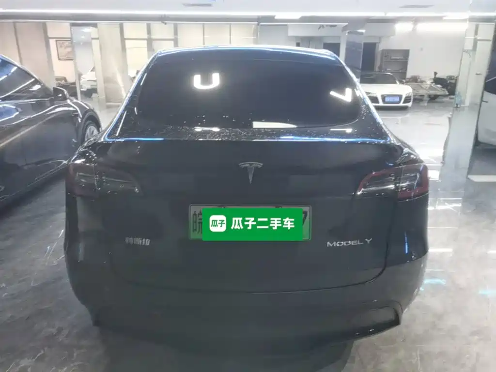 Tesla Model Y — миниатюра 6