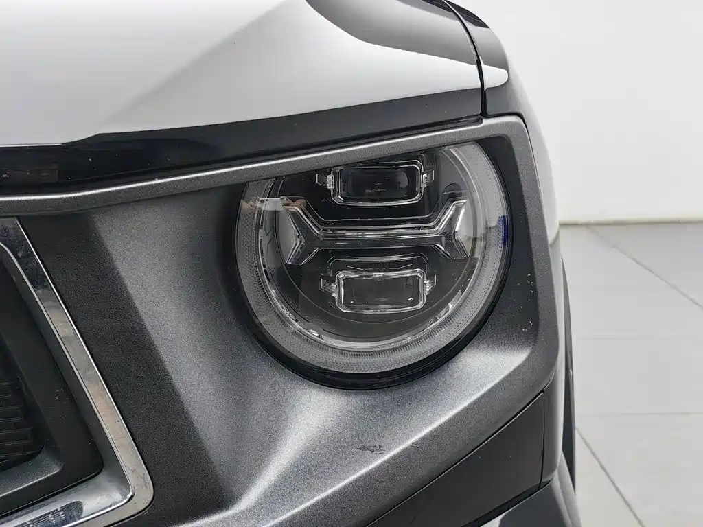Haval Big Dog PLUS — миниатюра 7