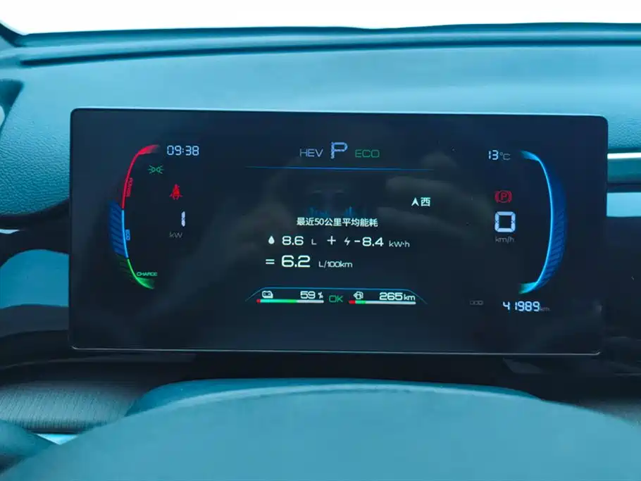 BYD SONGJIANG NEW ENERGY