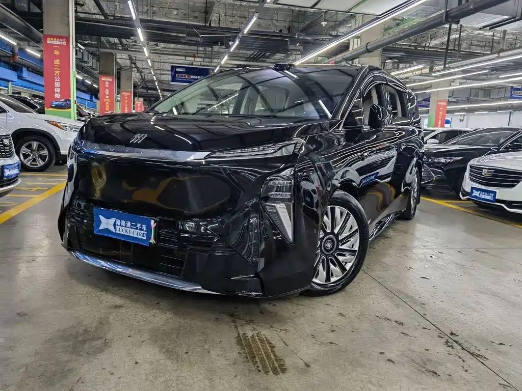Buick Electra Encasa