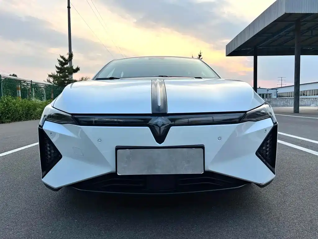 Lingxi Lingxi L — миниатюра 2