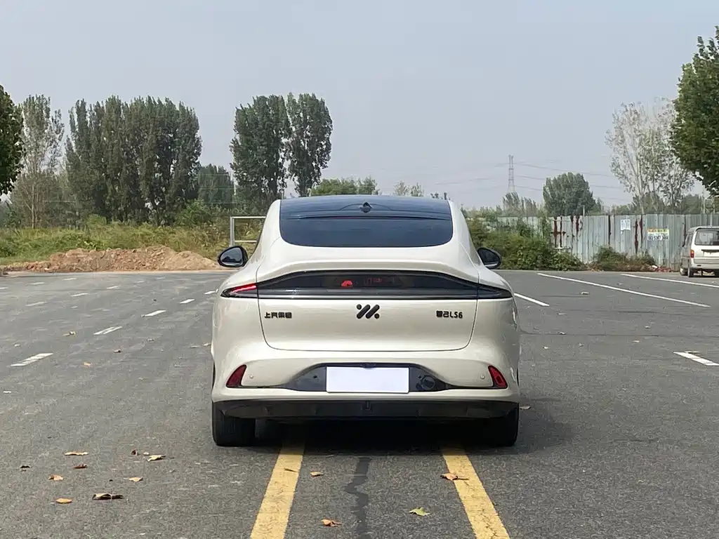 IM IM LS6 — миниатюра 8