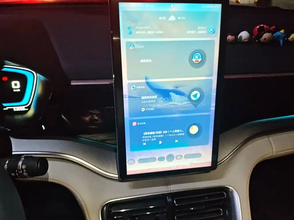 BYD PLUS New Energy — миниатюра 14