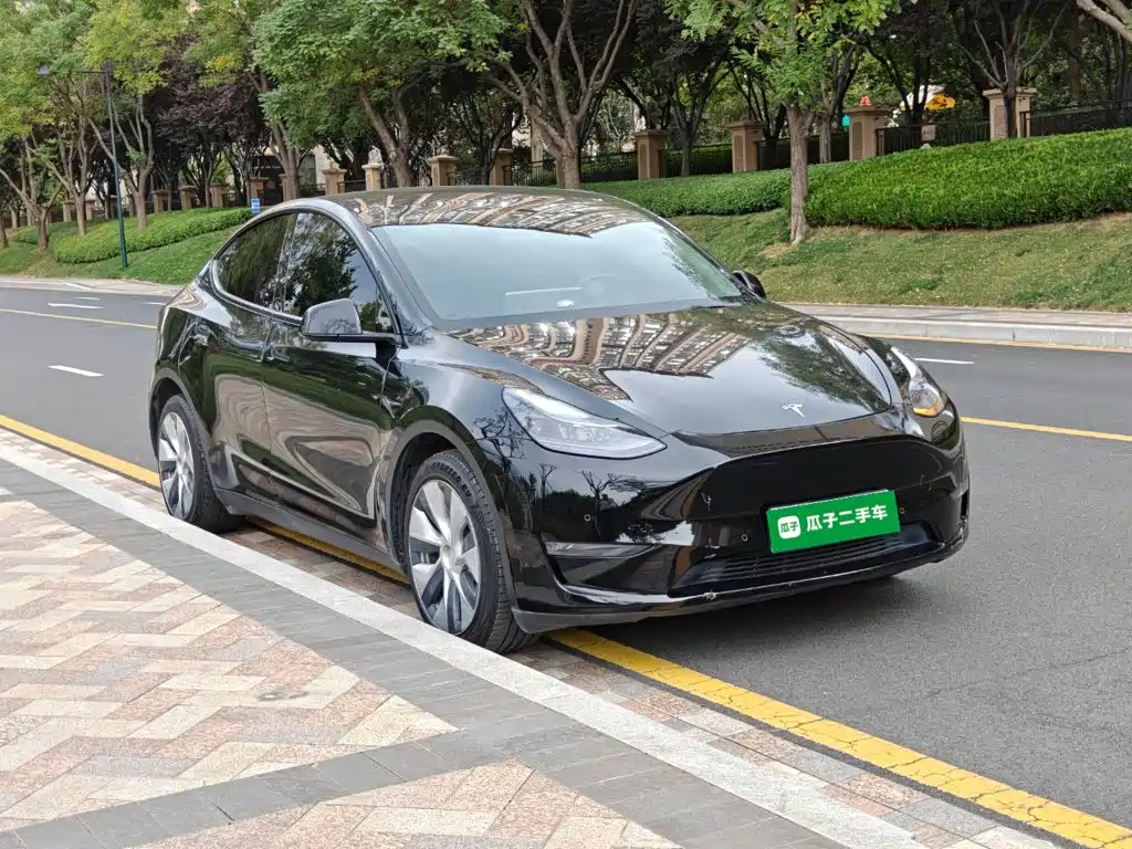 Tesla Model Y — миниатюра 4