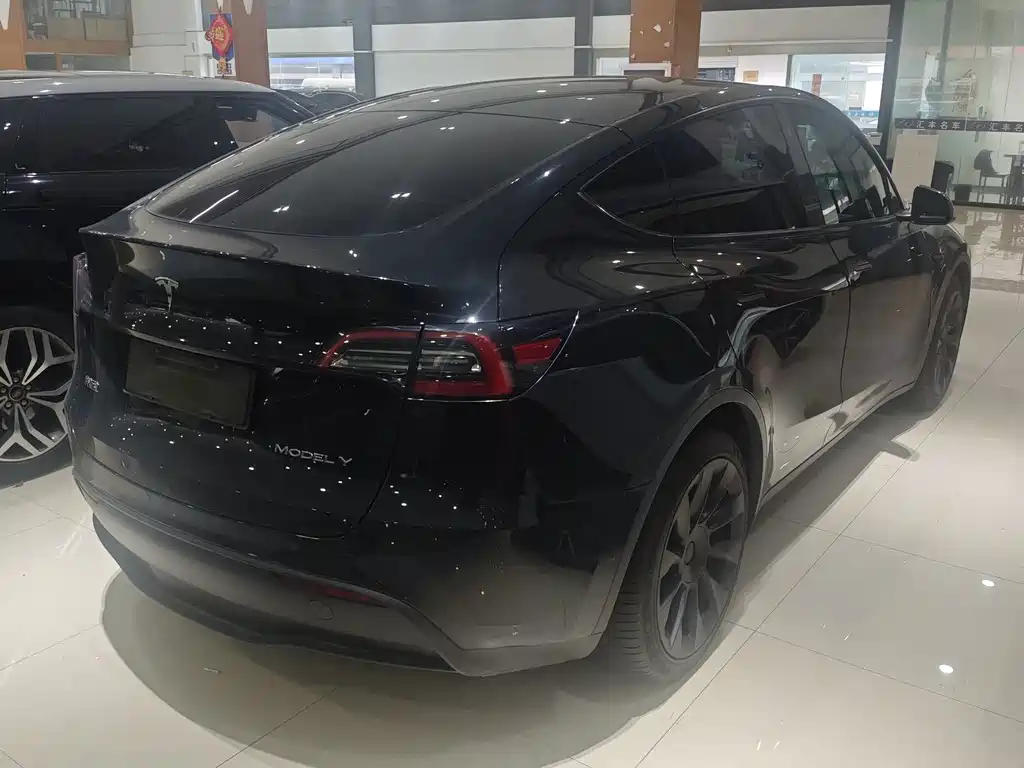 Tesla Model Y — миниатюра 3