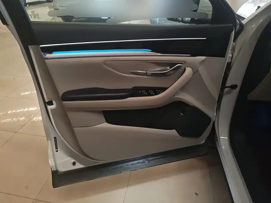 BYD PLUS New Energy — миниатюра 7