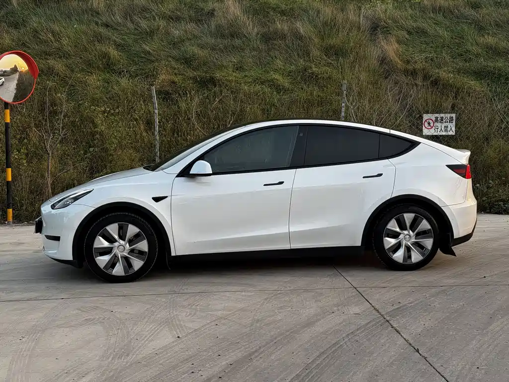 Tesla Model Y — миниатюра 4