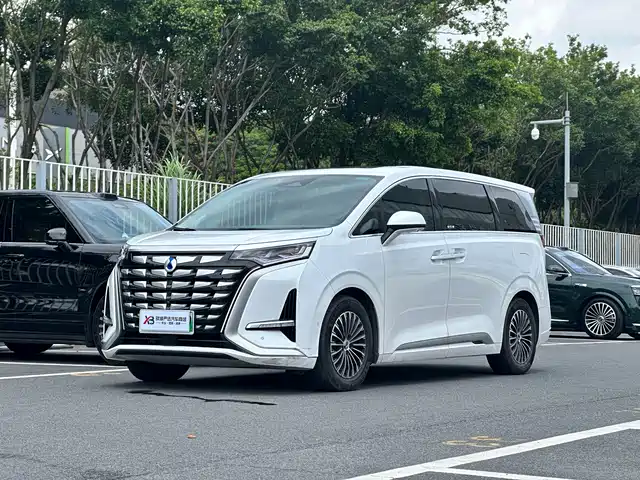 Denza D9