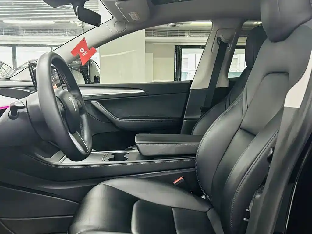 Tesla Model Y — миниатюра 7