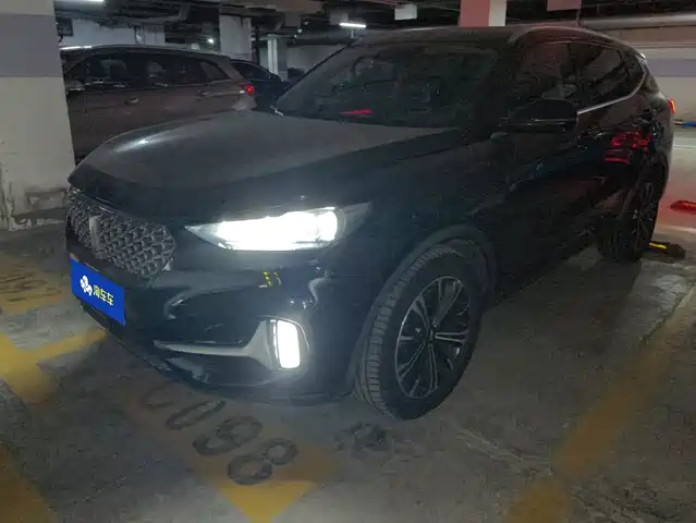 2020 Wey VV6