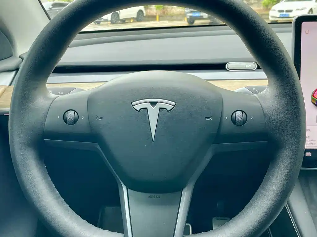 Tesla Model Y — миниатюра 17