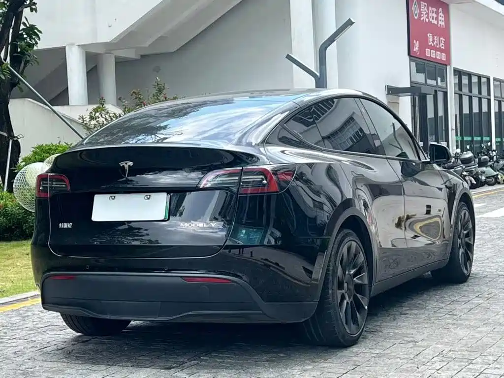 Tesla Model Y — миниатюра 7