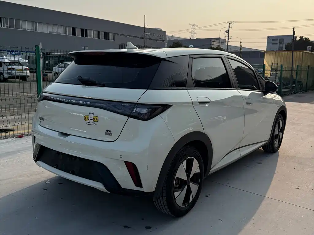 BYD Dolphin — миниатюра 15