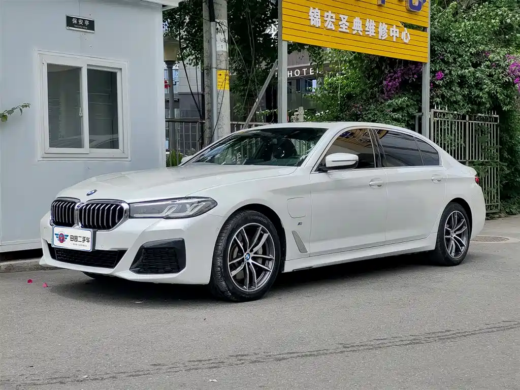 BMW 5 Series New Energy 2021