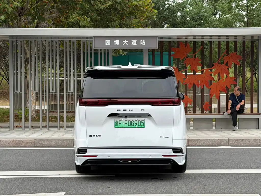 Denza Denza D9 — миниатюра 9