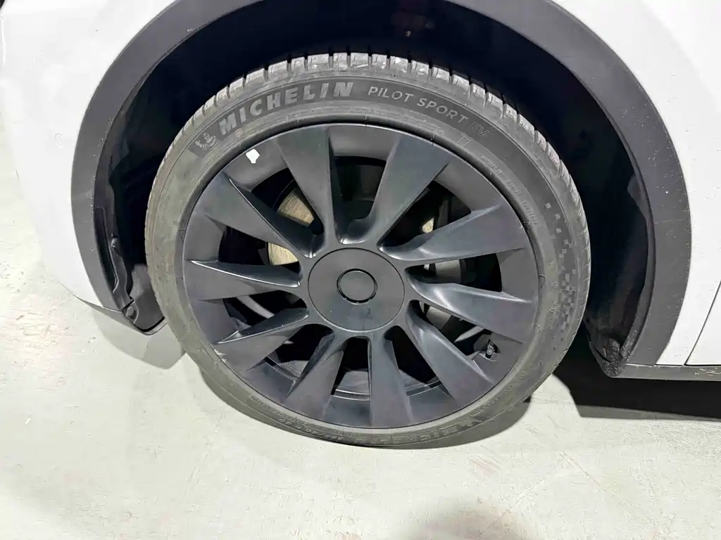 Tesla Model Y — миниатюра 2