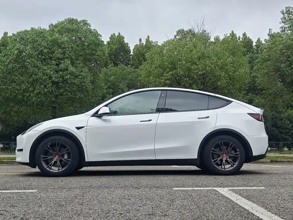 Tesla Model Y — миниатюра 16