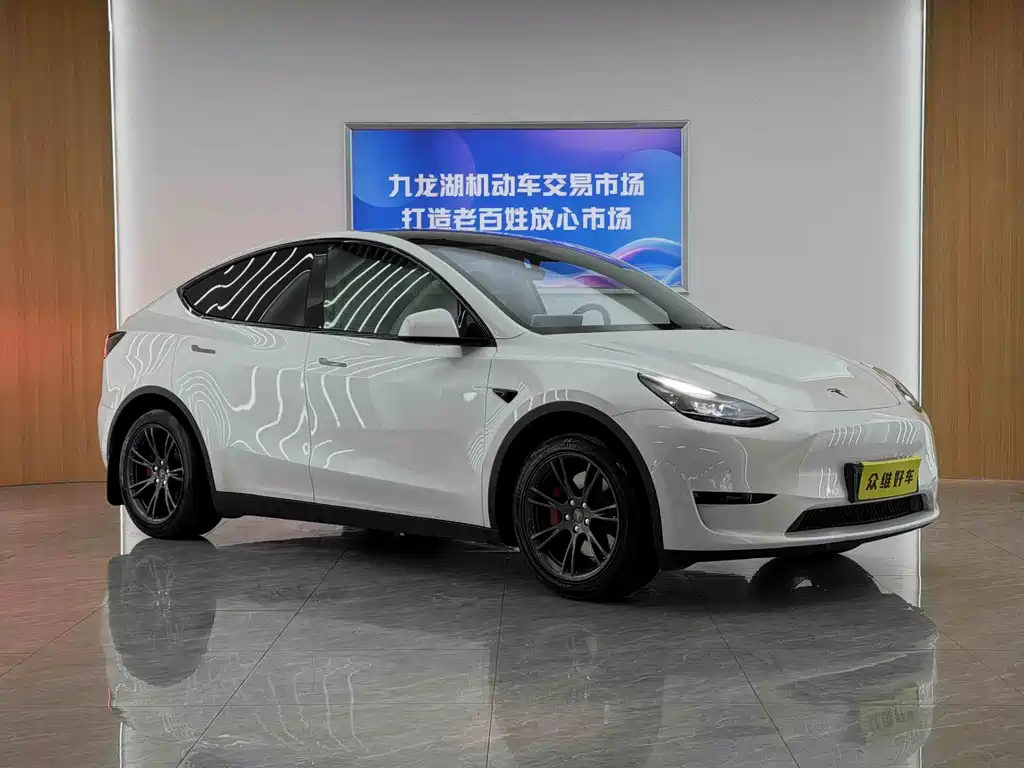 Tesla Model Y — миниатюра 3