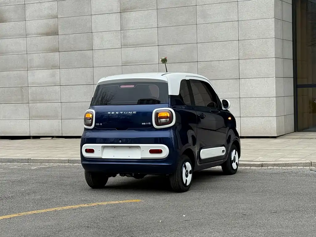 BESTUNE PENTIUM PONY