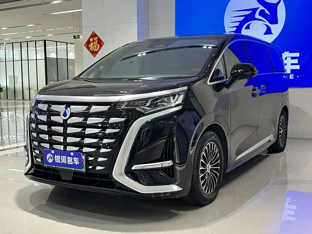 Denza D9