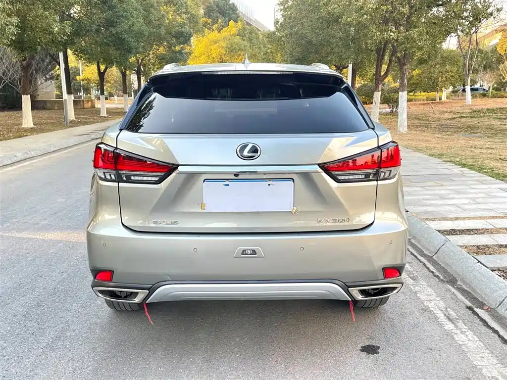 LEXUS RX