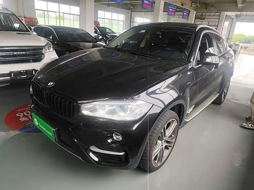 BMW X6 2015 xDrive35i Leading Type