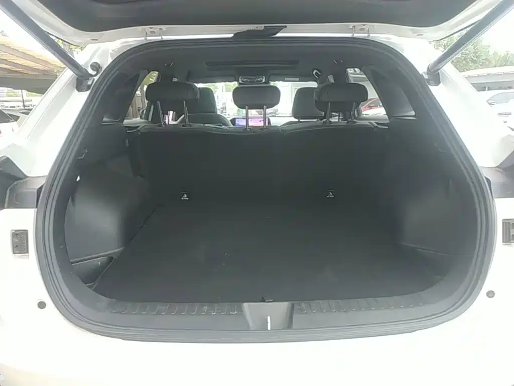 Haval Shenshou — миниатюра 19
