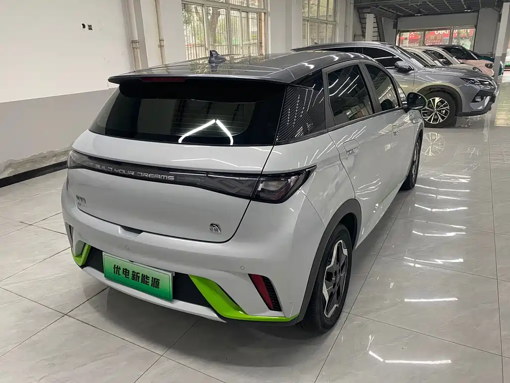 BYD Dolphin — миниатюра 6