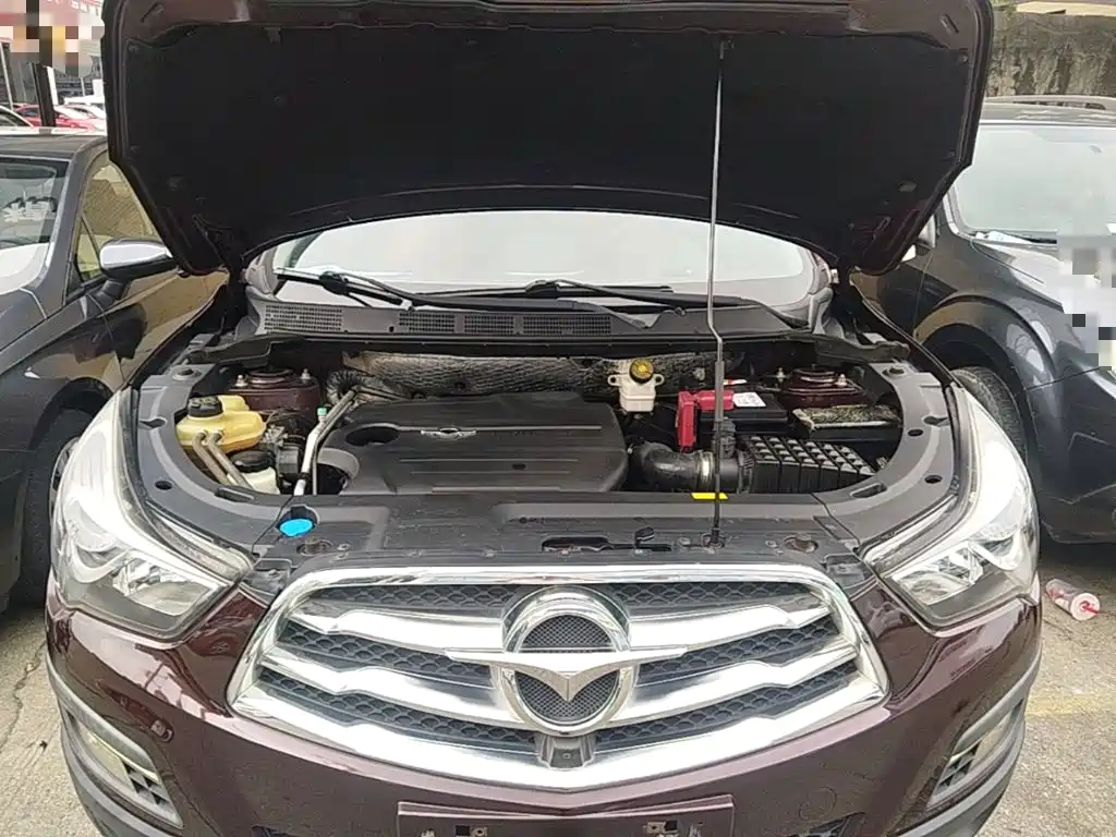Haima Haima S5 — миниатюра 20
