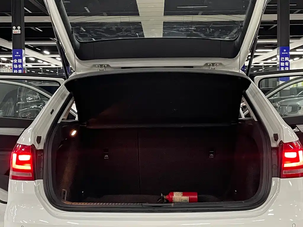 Volkswagen Gran Lavida — миниатюра 9