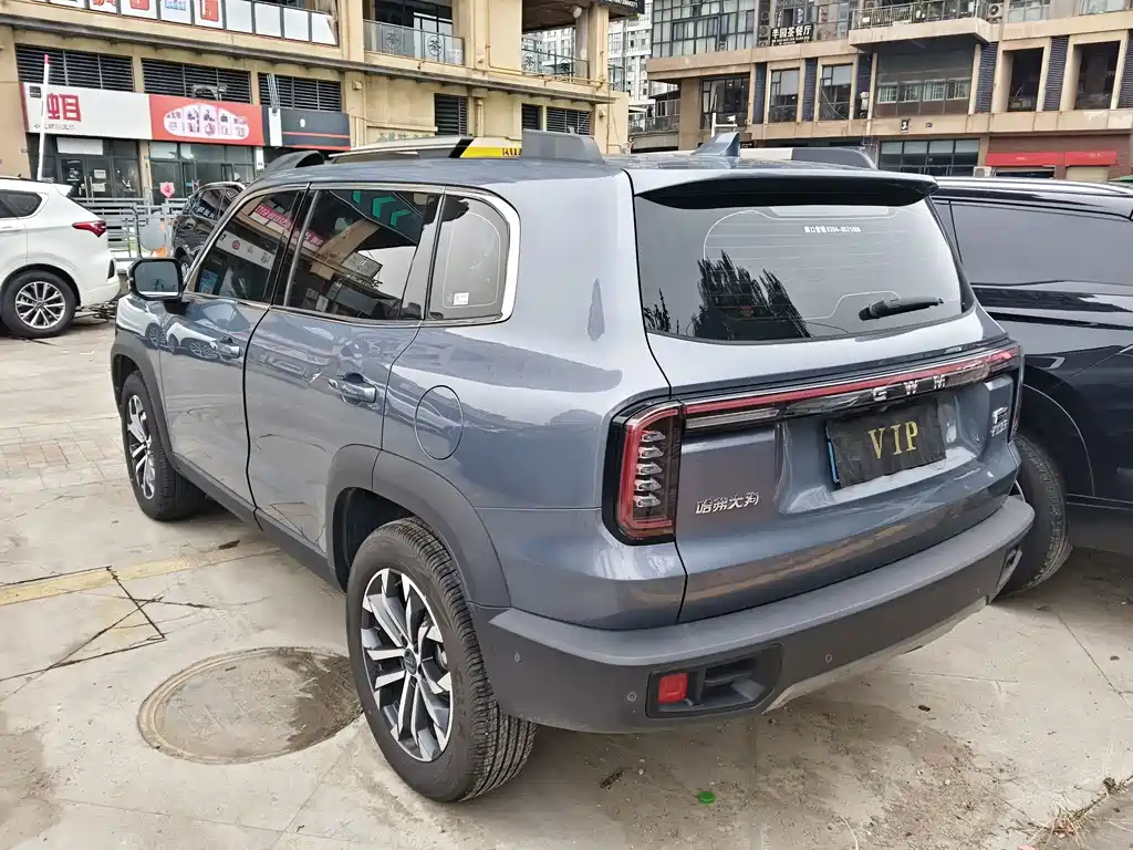 Haval 长城大狗 — миниатюра 16