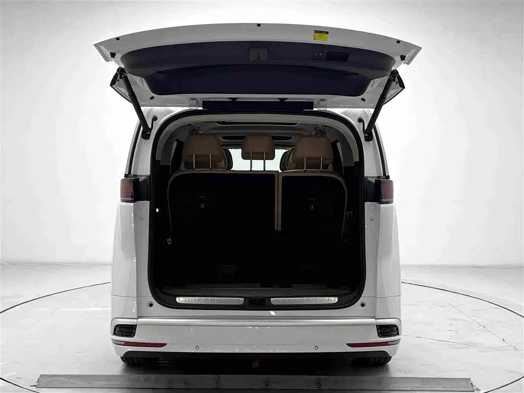 Denza Denza D9 — миниатюра 15