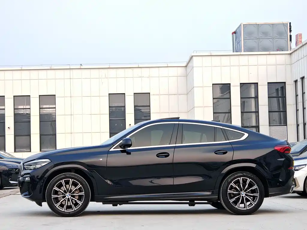 BMW X6 2021 xDrive30i M Sport
