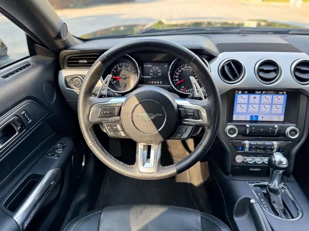 Ford Mustang — миниатюра 13