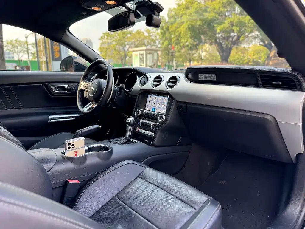 Ford Mustang — миниатюра 10