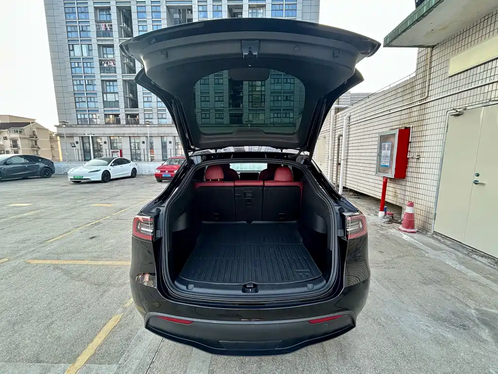 Tesla Model Y — миниатюра 17