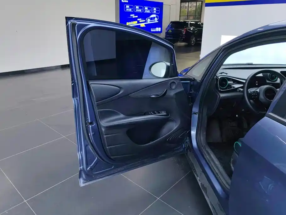BYD Dolphin — миниатюра 7