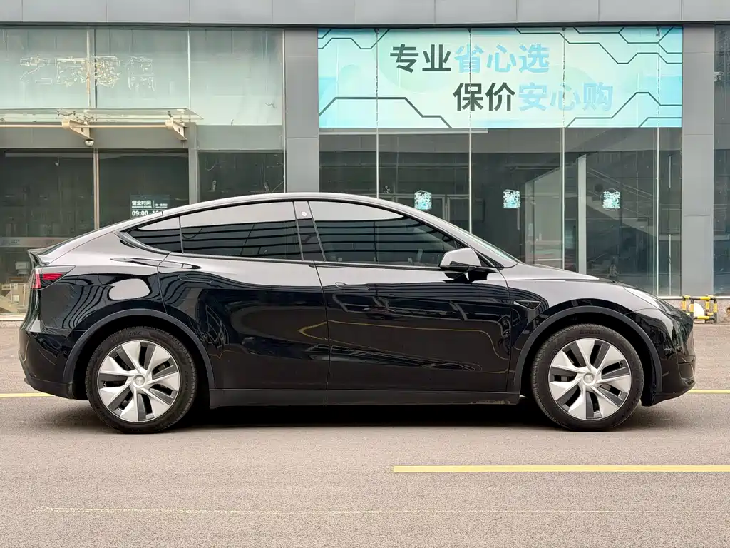 Tesla Model Y — миниатюра 4