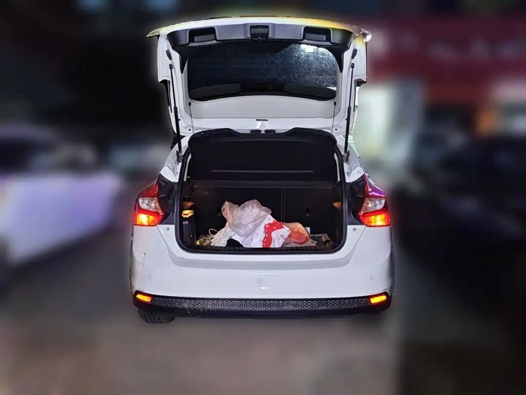 Ford Focus — миниатюра 15