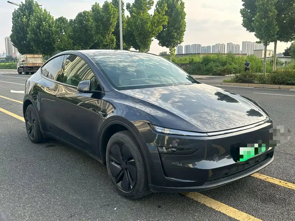 Tesla Model Y — миниатюра 9