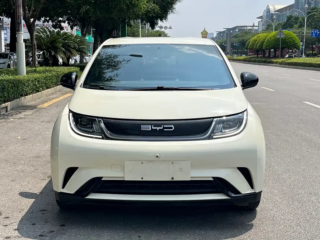 BYD Dolphin — миниатюра 2