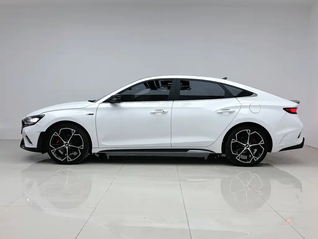 Hyundai Fista — миниатюра 2