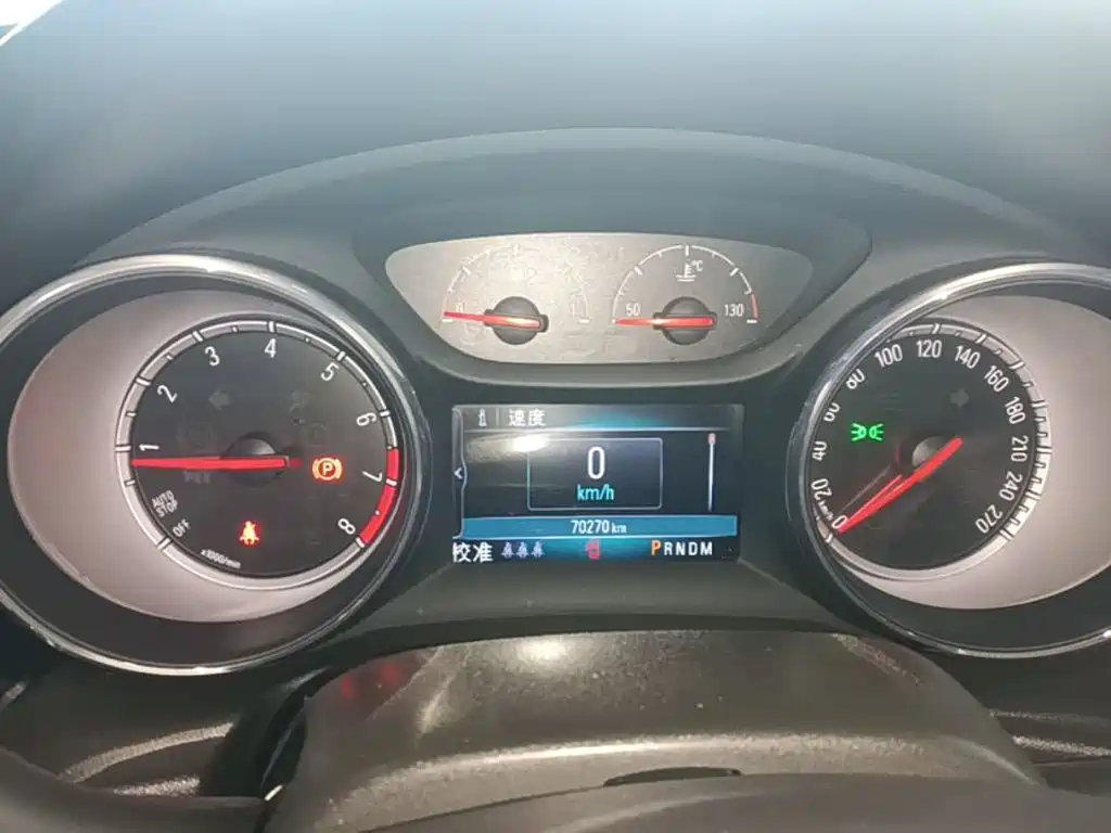 Buick Regal — миниатюра 12