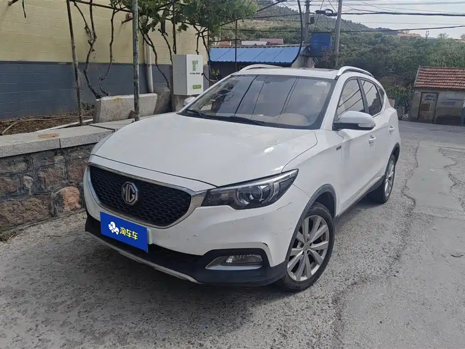 Mg ZS 2017