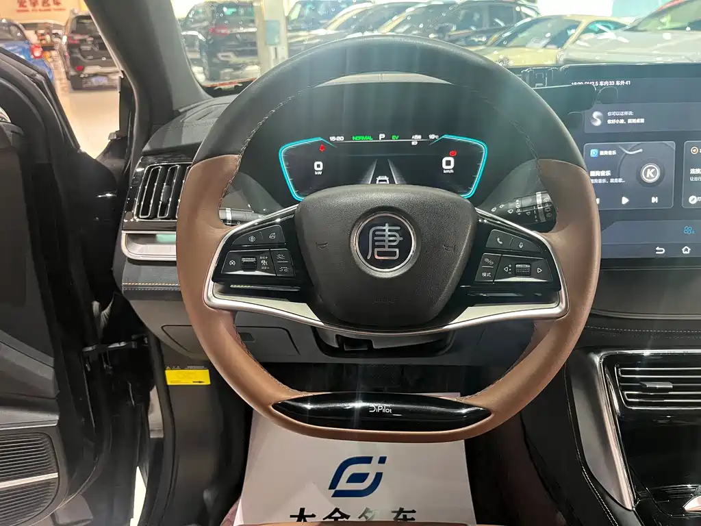 BYD Tang New Energy — миниатюра 11
