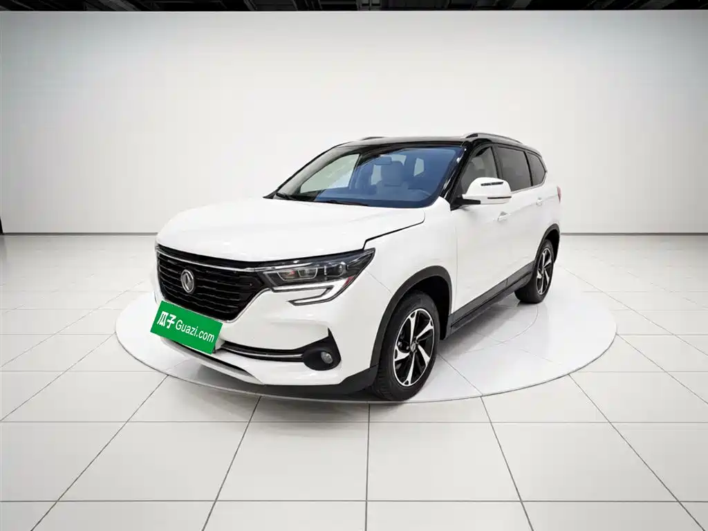 Fengxing Fengxing T5 2019