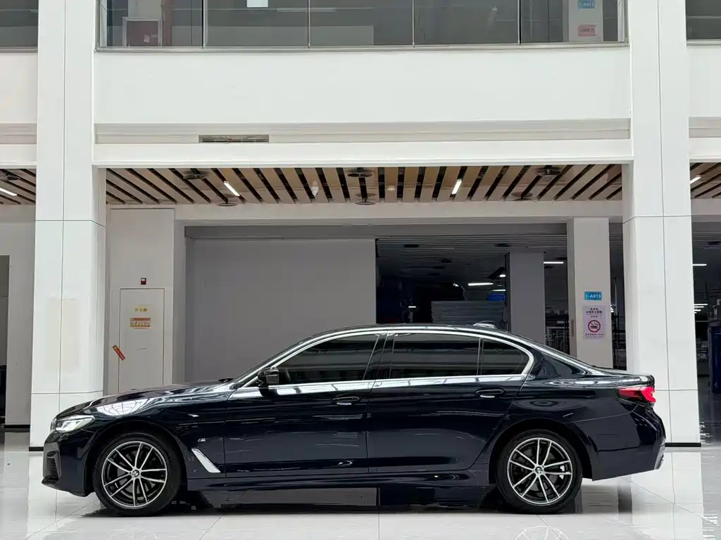 BMW 5 Series — миниатюра 8