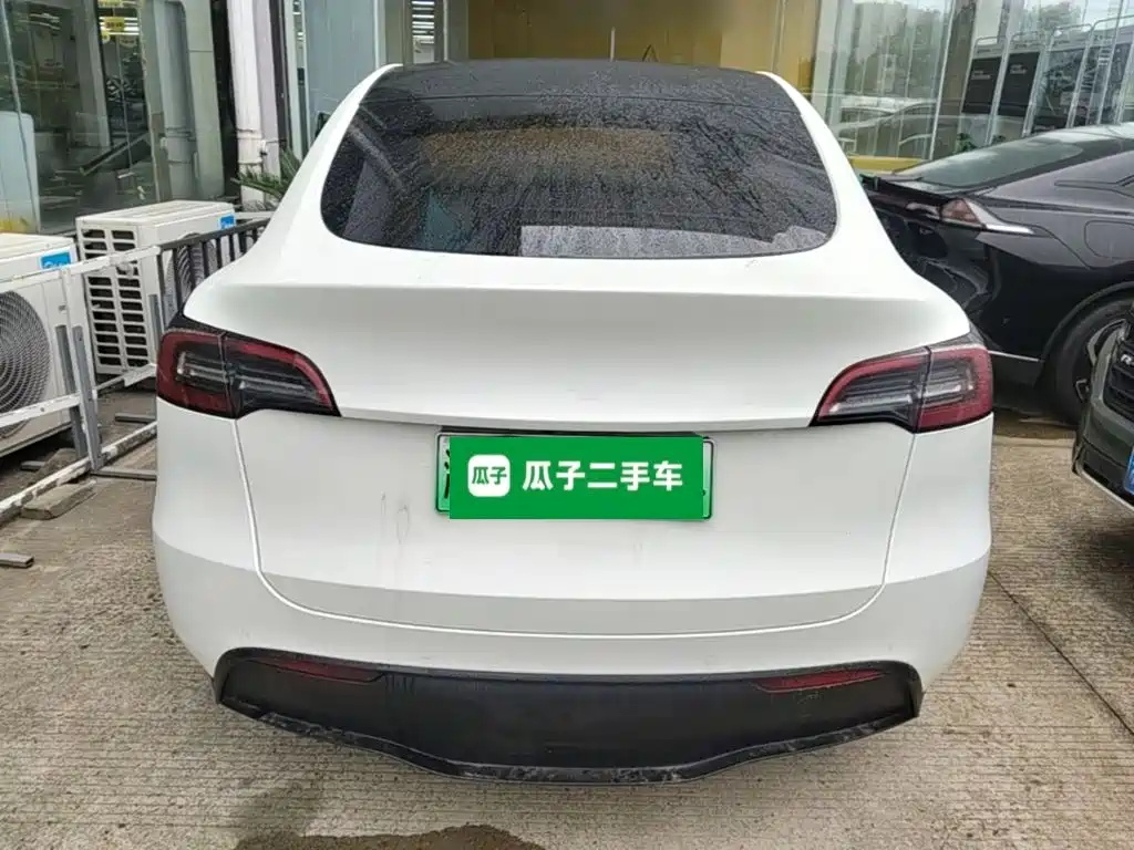 Tesla Model Y — миниатюра 6