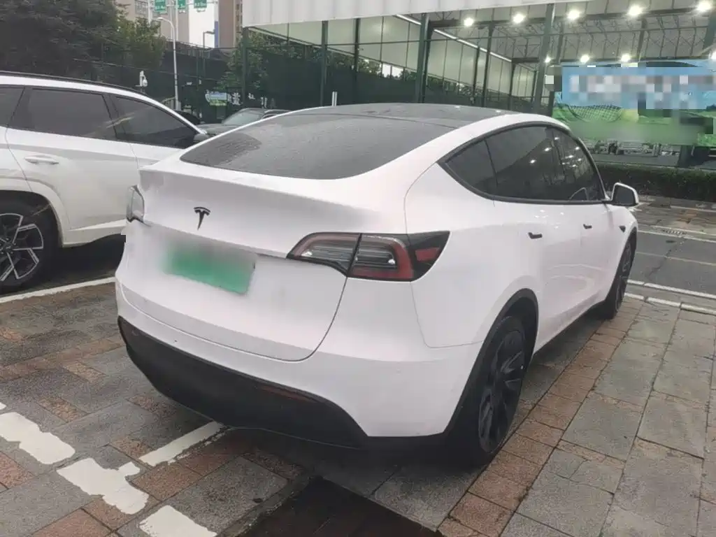 Tesla Model Y — миниатюра 7